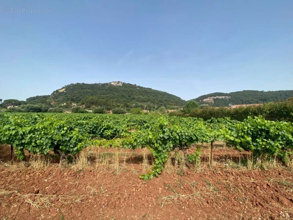 Terrain à GONFARON