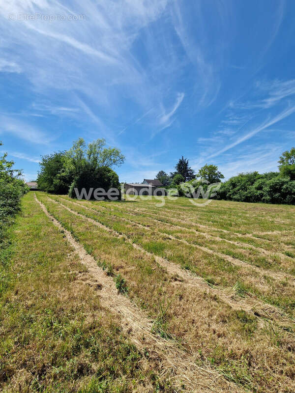 Terrain à SAINT-GAULTIER
