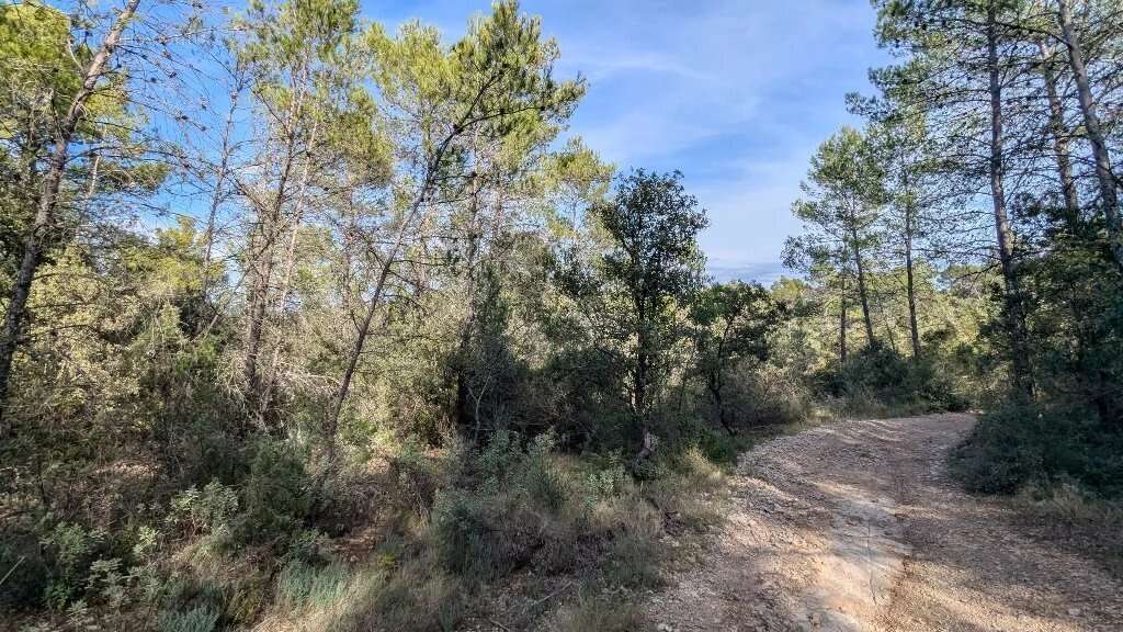 CARCES - Terrain non constructible 9.696m² boisé - photo 7