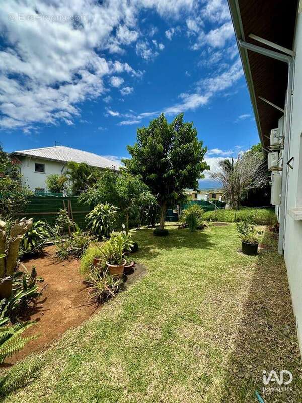 Photo 6 - Appartement à BRAS-PANON