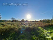 Terrain à SAINT-MICHEL-ESCALUS
