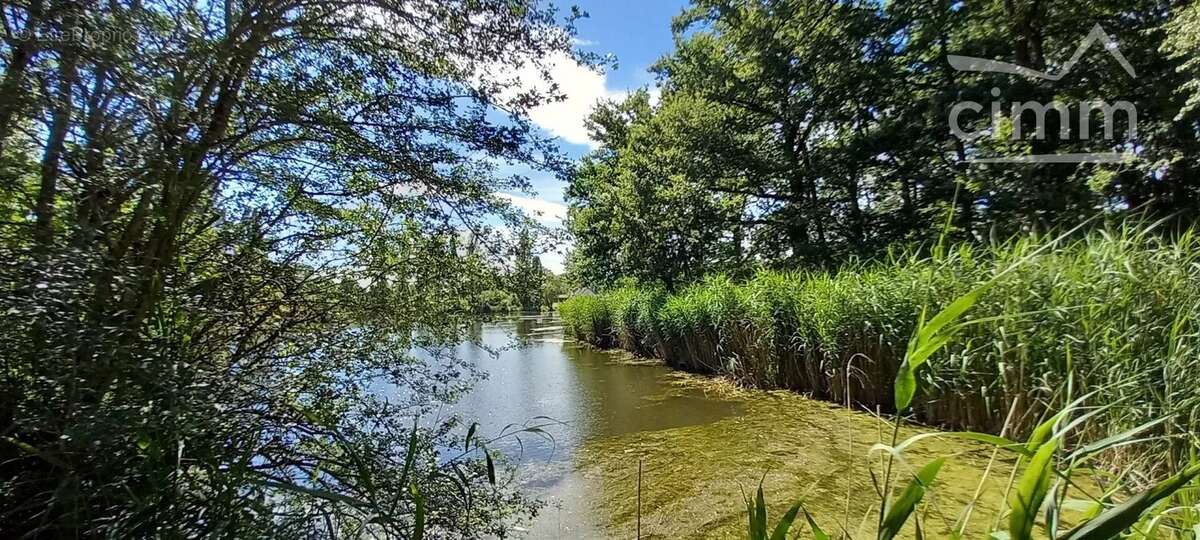 Maison à LA FERTE-SAINT-CYR