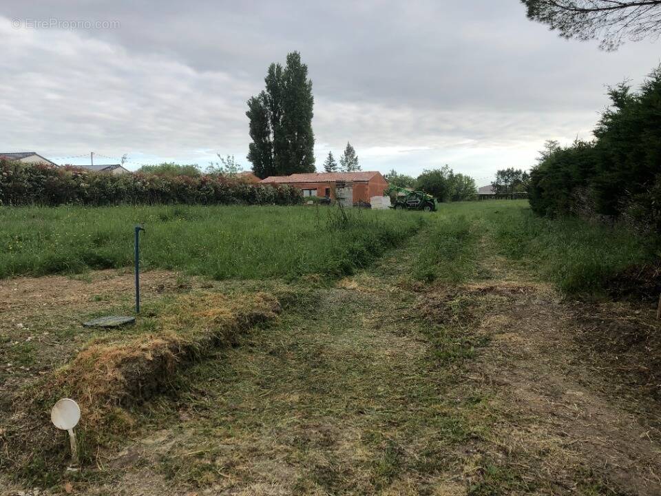 Terrain à THENAC