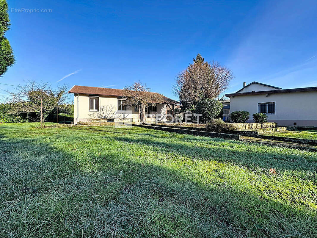 Maison à JASSANS-RIOTTIER