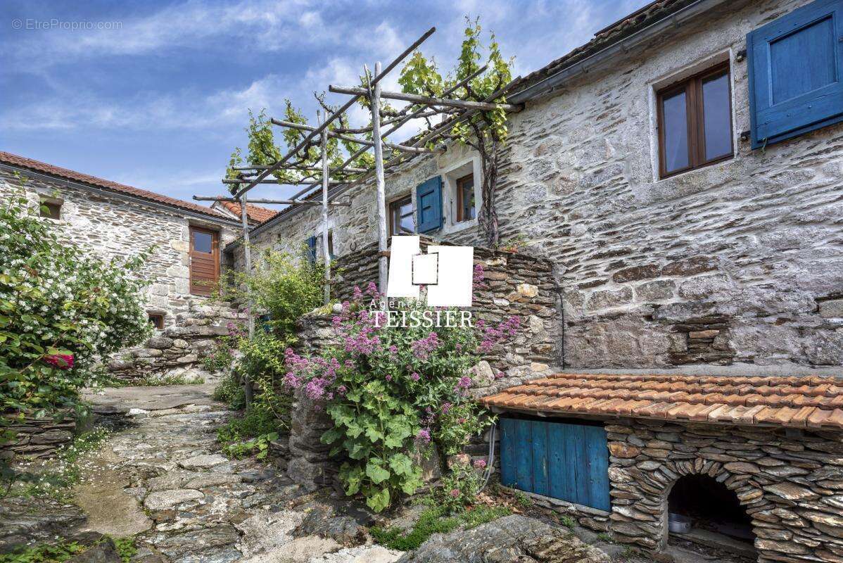 Mas Cévenol avec une vue dégagée et près de 3 hectares de te - photo 3