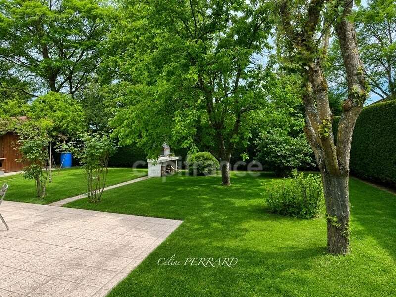 Maison de plain-pied – vendue loué - 80m² - 3 chambres – Terrain 600 m² – piscinable -Sciez - - photo 4