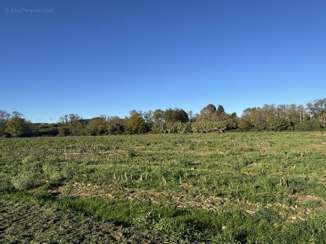 Terrain à MONTBOUCHER-SUR-JABRON