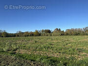 Terrain à MONTBOUCHER-SUR-JABRON