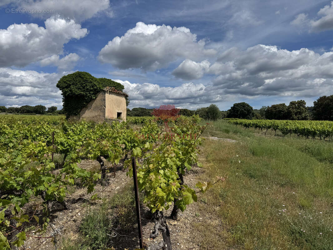 Terrain à LE POUGET