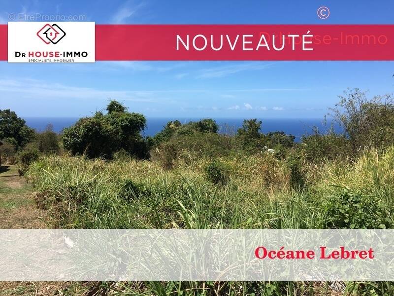 Terrain à VIEUX-HABITANTS