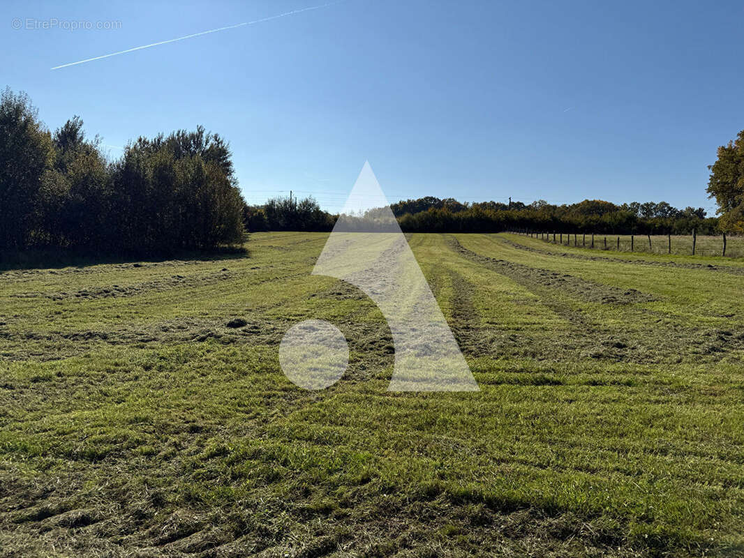 Terrain à FONTENELLE
