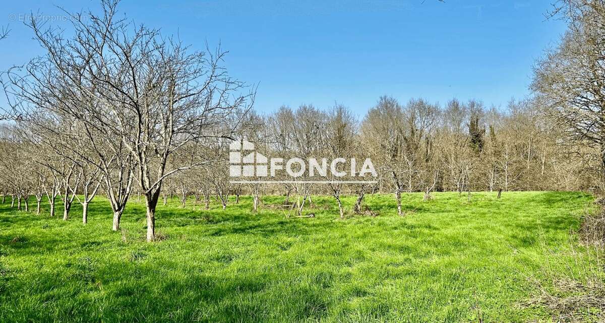 Maison à LA FERRIERE