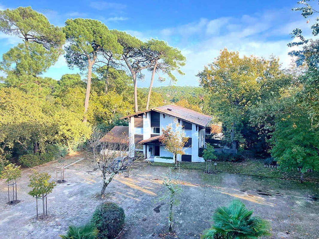 Appartement 54m² à arcachon - photo 10