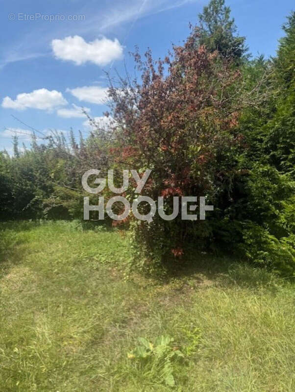 Terrain à vendre de 858 m² à Sézanne - Exclusivité Guy Hoquet - photo 3