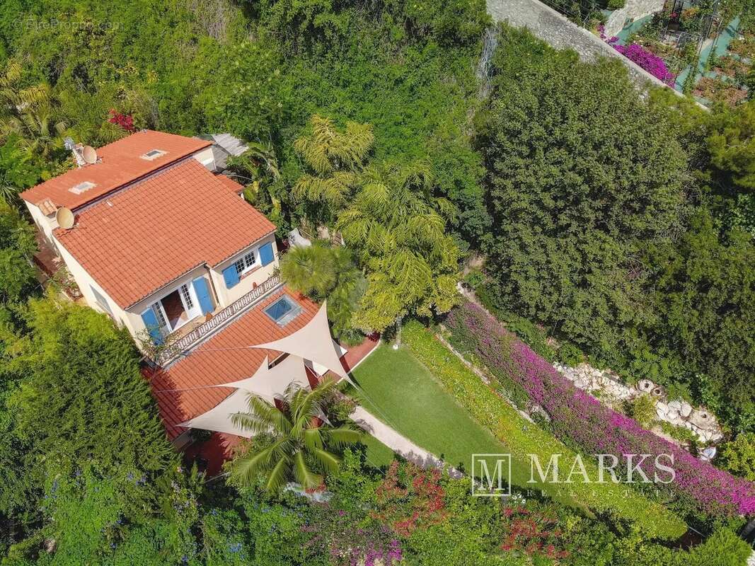 Magnifique propriété dans un jardin exotique - photo 11
