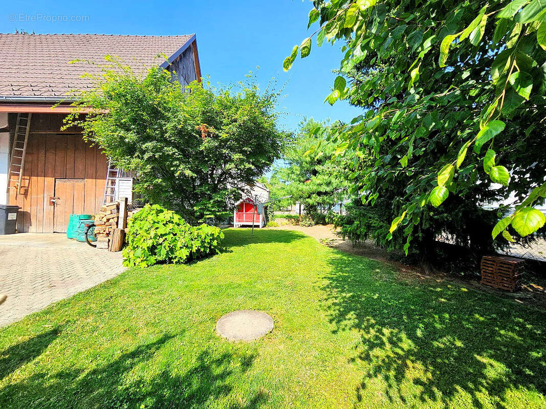 Maison à HAGENTHAL-LE-HAUT