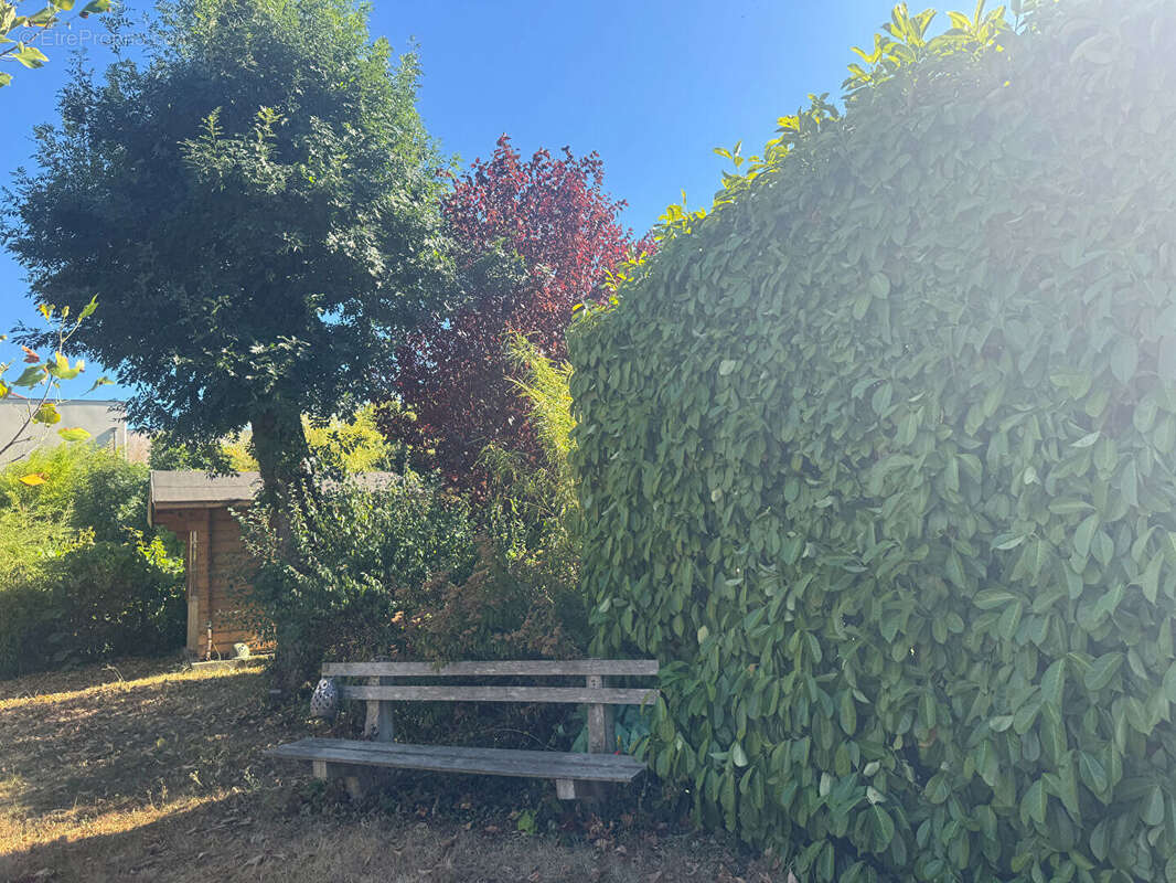 Rare au coeur de Francheville le Haut maison 7 pièce(s) 211 m2 au calme - photo 17