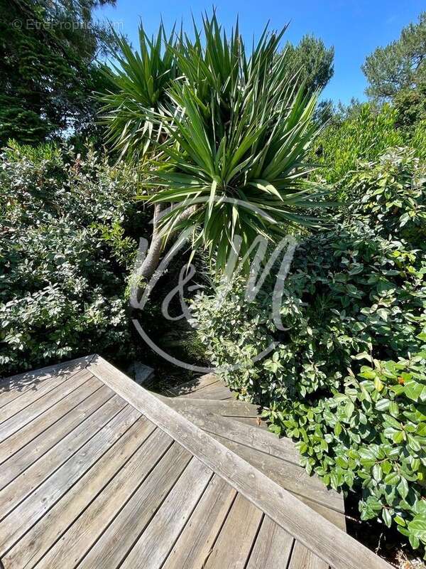 Maison à LE BOUSCAT