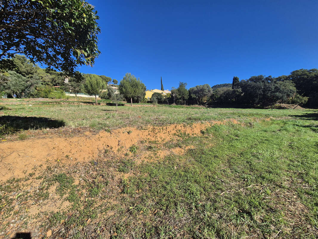 Terrain à LE PRADET