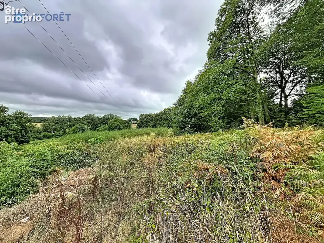 Photo Terrain à Bignan au prix de 20 750€
