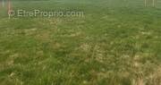 Terrain à LOUGE-SUR-MAIRE