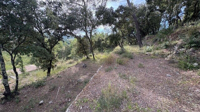 Terrain à FLASSANS-SUR-ISSOLE