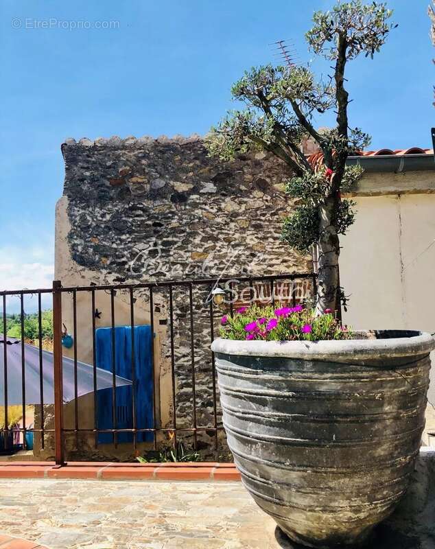 Mas de caractere avec piscine et gite en activite, montesquieu des alberes - photo 20