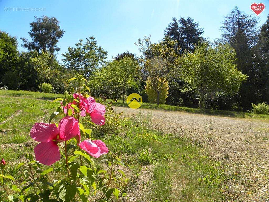 Maison à CHATILLON-SUR-LOIRE