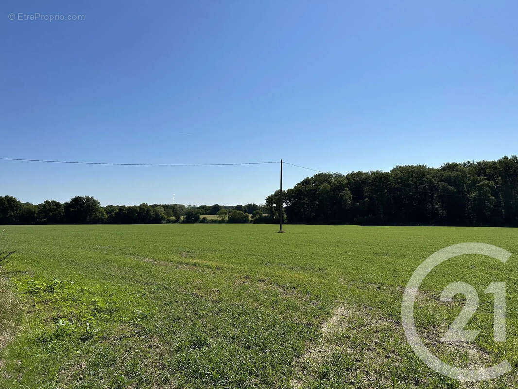 Maison à SURY-ES-BOIS