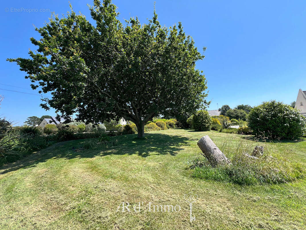 Mer à 100 mètres - Terrain constructible - photo 4