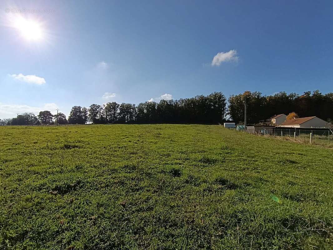 Terrain à SAINT-MARC-A-FRONGIER