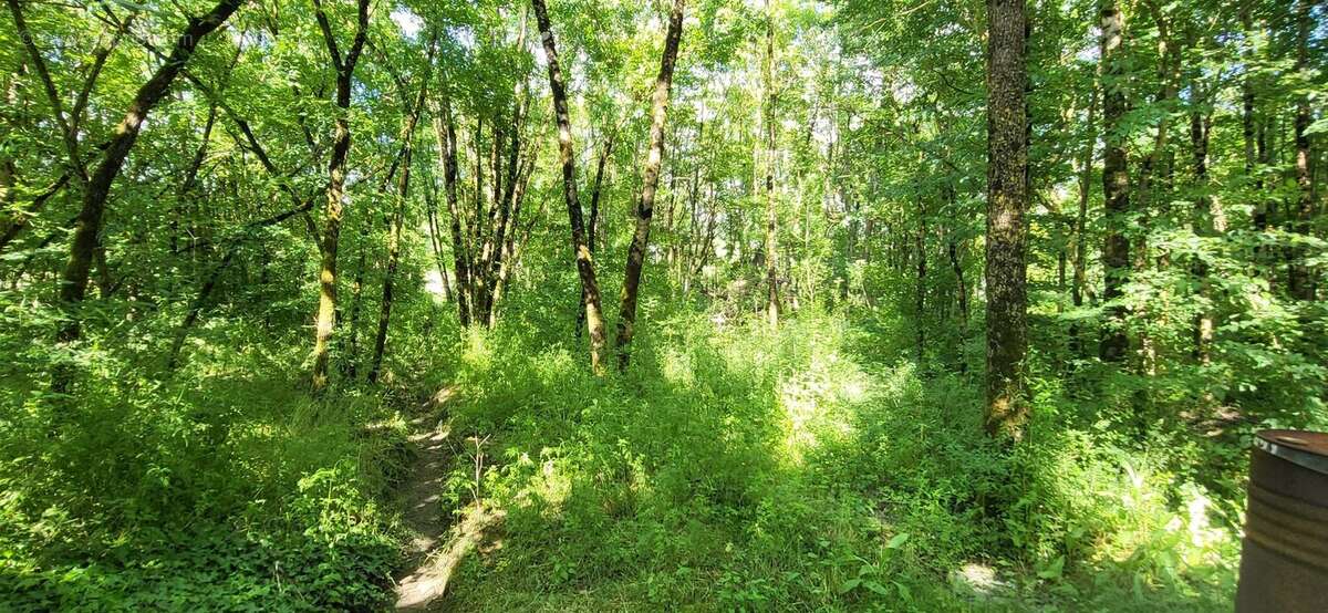 Maison à CHERVES-RICHEMONT