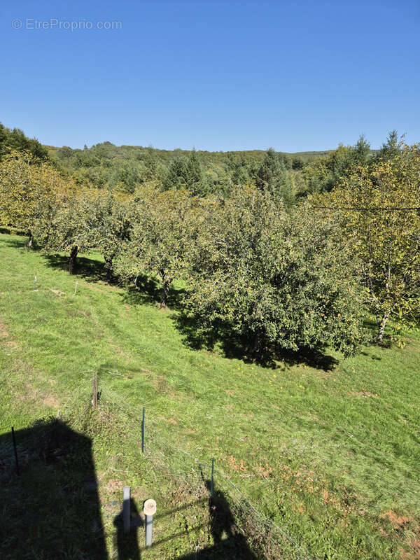 Maison à SALIGNAC-EYVIGUES