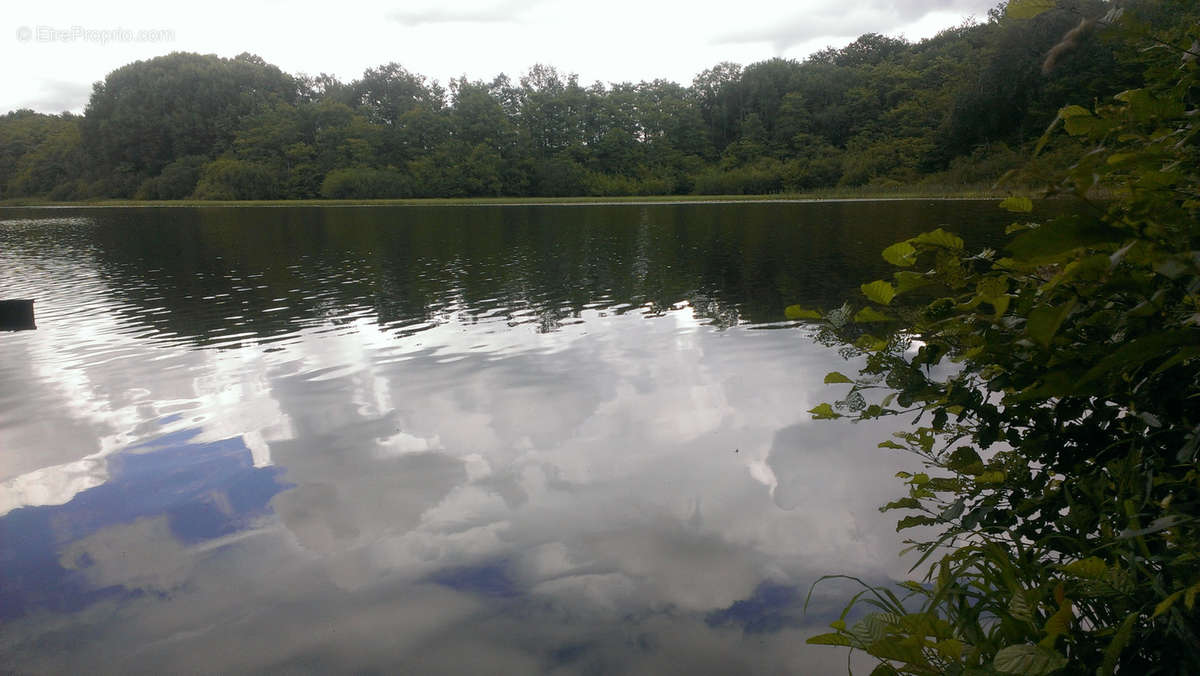 Terrain à PLOMBIERES-LES-BAINS