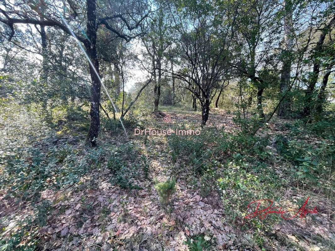 Terrain 7807 m² à Saint-Maximin-La-Sainte-Baume  - photo 4
