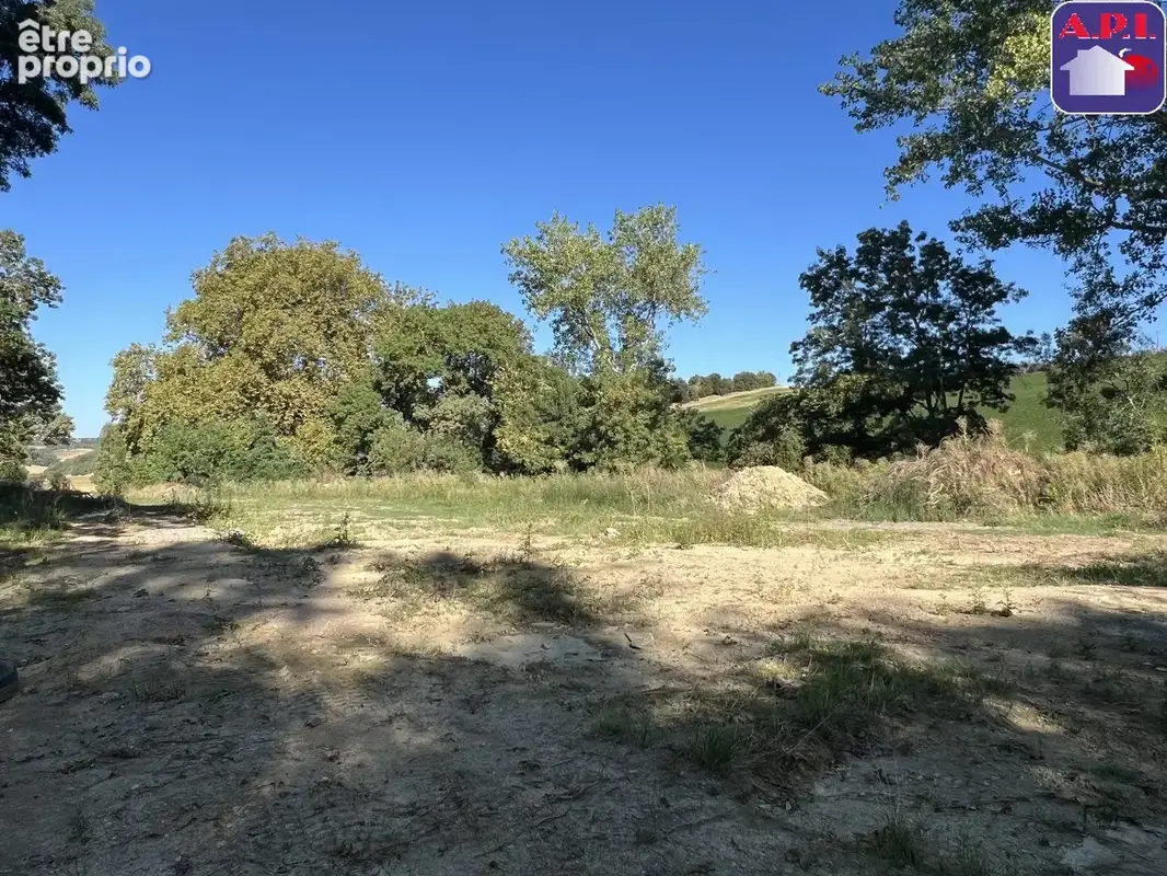Terrain 4 484 m² à vendre à Nailloux (31560) - photo 3
