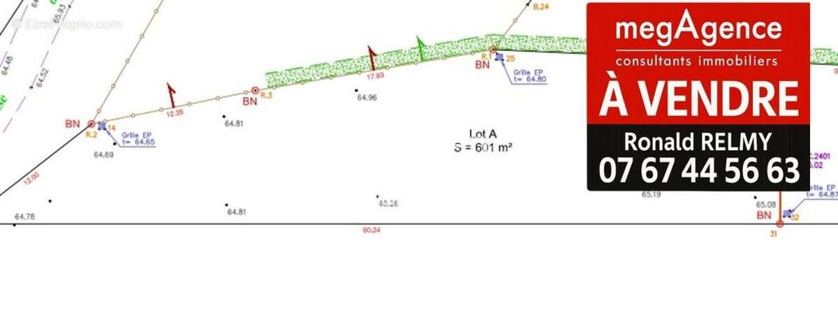 Terrain à SAINTE-FLAIVE-DES-LOUPS