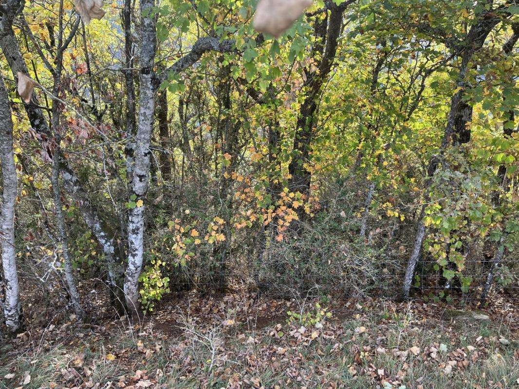 Terrain à VERRIERES