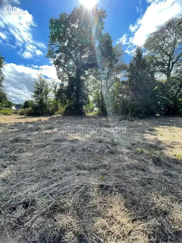Terrain constructible 1 498 m² au calme — Libre de constructeur (Ploërmel) - photo 5