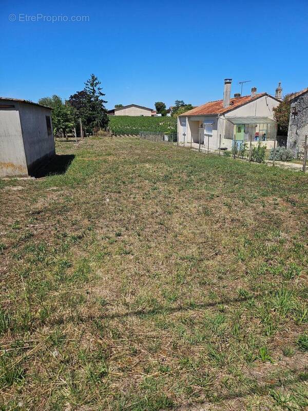 Photo 1 - Terrain à SAINT-ESTEPHE