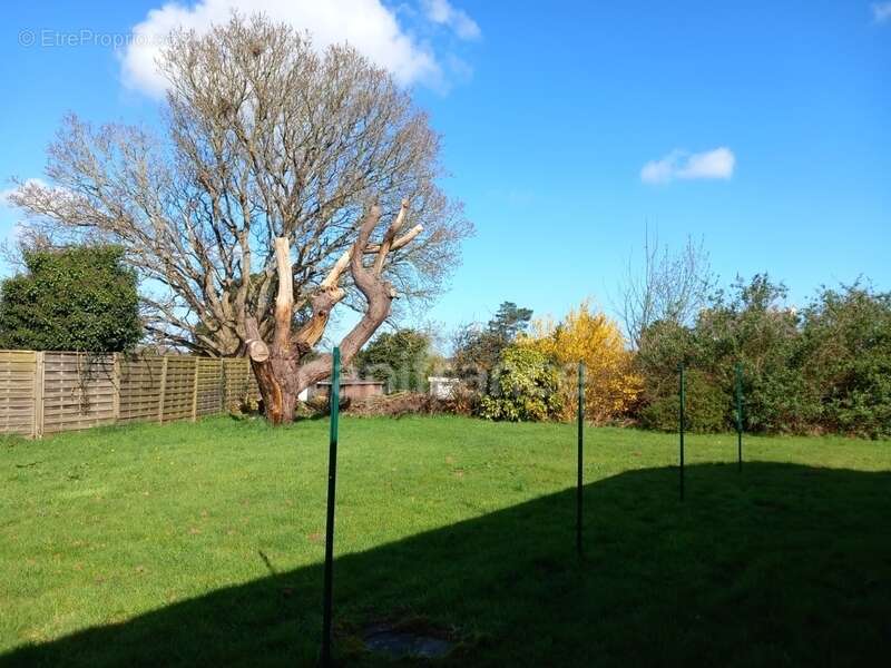 Terrain à SAINT-QUAY-PERROS