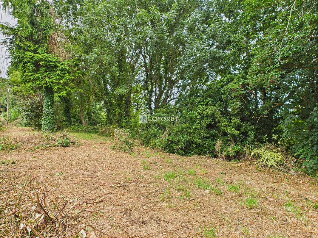 Terrain constructible de 1306m2 - photo 3