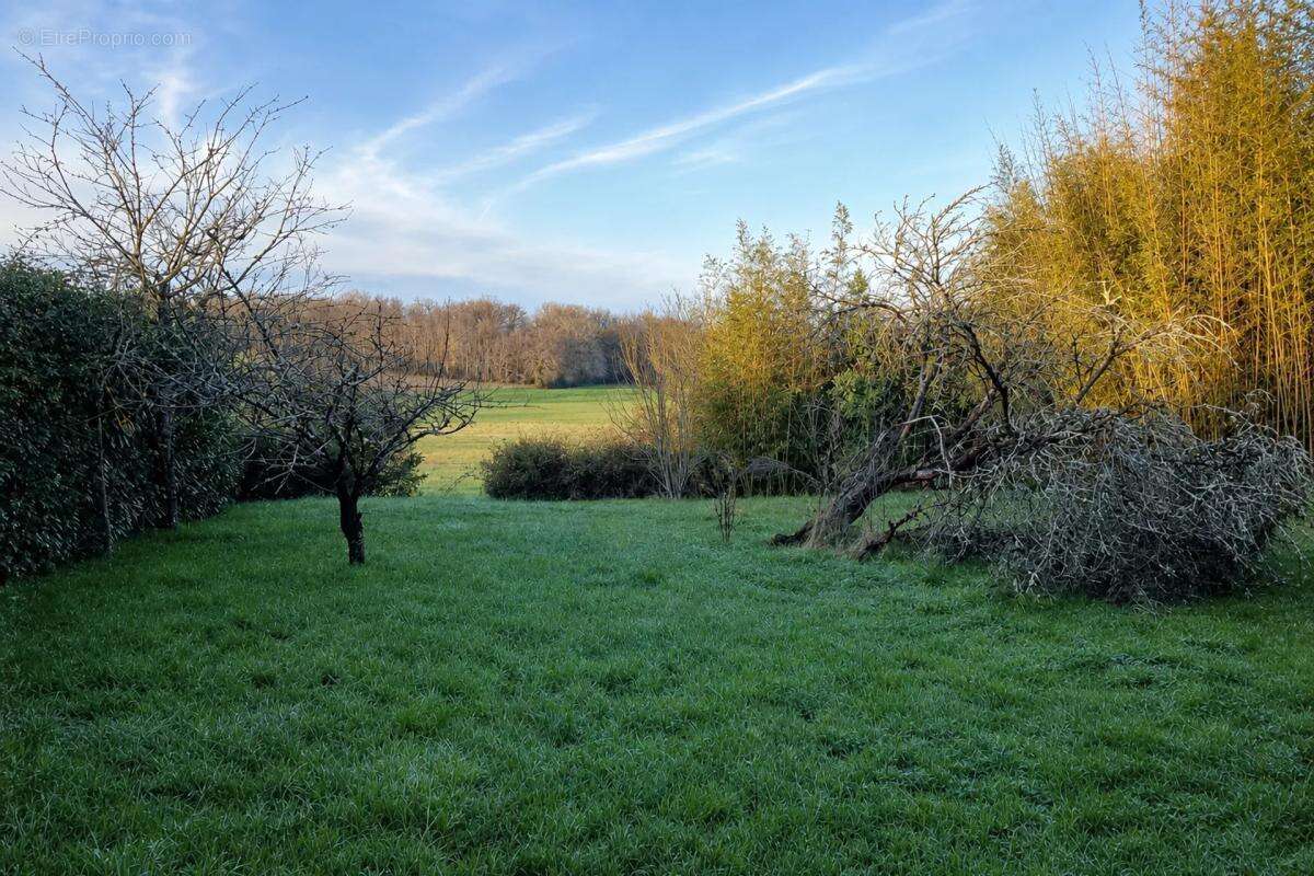 Maison de 5 pièces de 169 m² à Montmérac - photo 30
