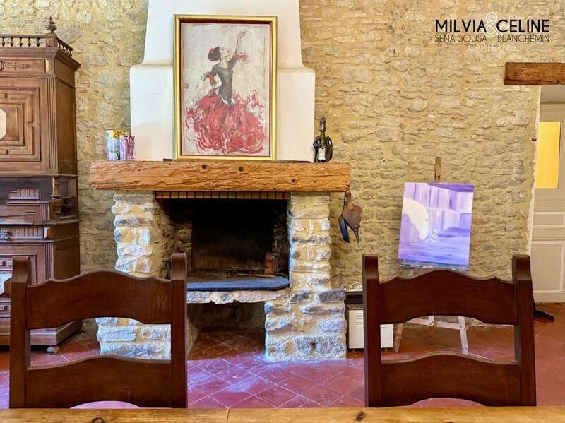 Propriete à vendre 32 pièces proche de CARCASSONNE (11) 2 habitations 522m2+ parc 2,82 hectares + dépendances - photo 7