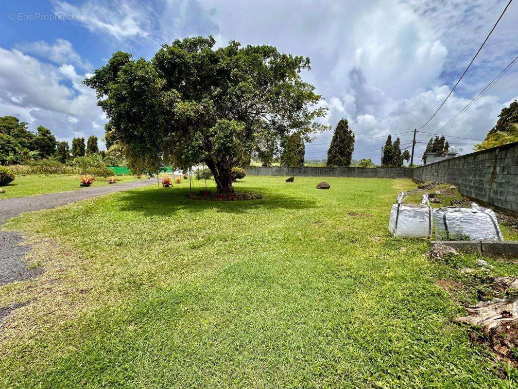 Terrain à PETIT-BOURG