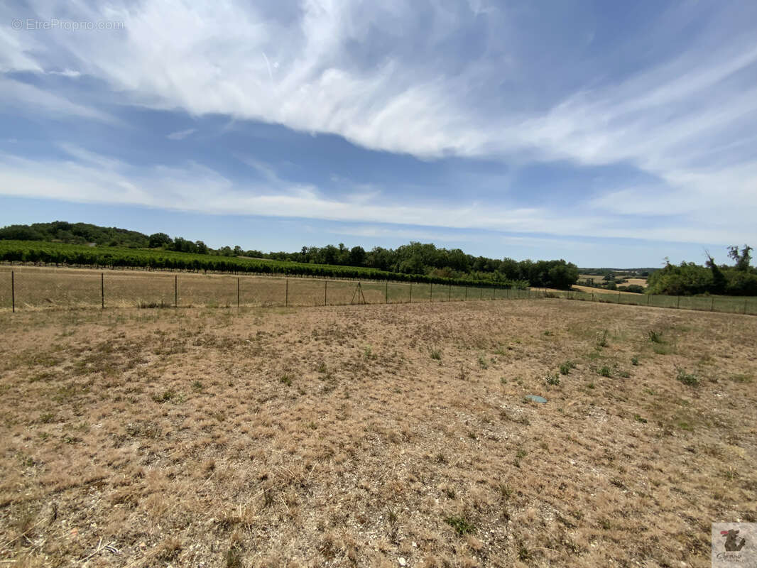 Avec vue dégagée maison neuve de plain pied - garage et jardin - RIBAGNAC - photo 2