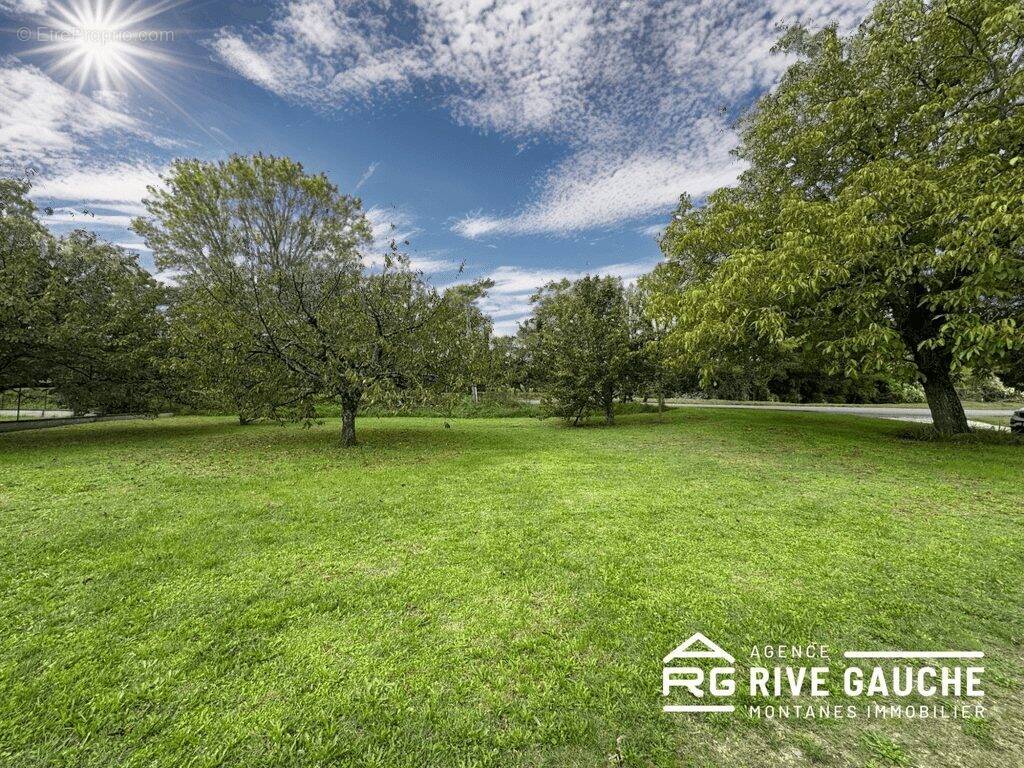 Terrain à SAINT-UZE