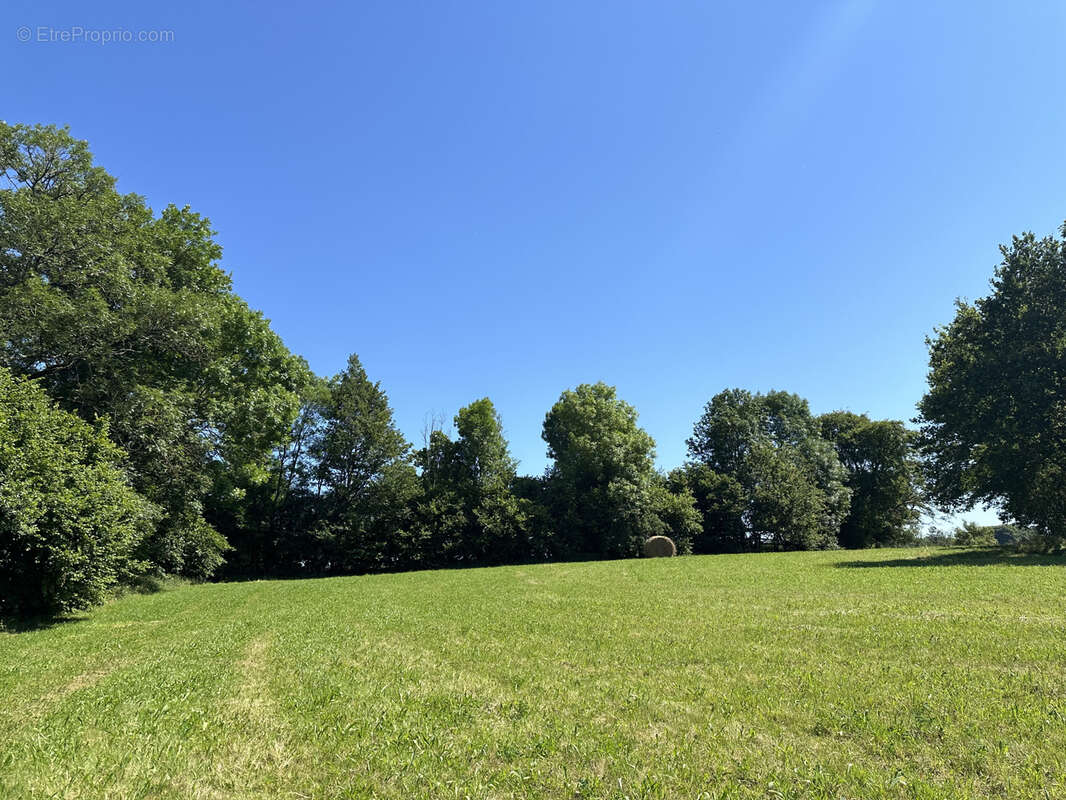 Terrain constructible de 6363 m2 sur la commune d'Uriménil - photo 6