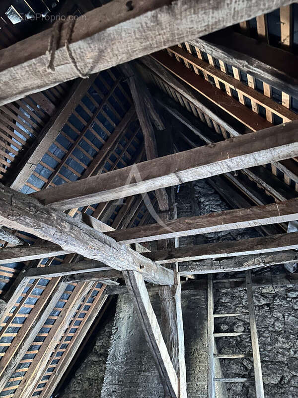 Maison à BEAUFORT-EN-VALLEE