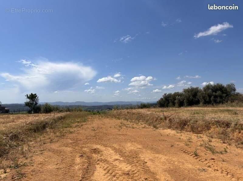 Terrain à THEZAN-LES-BEZIERS